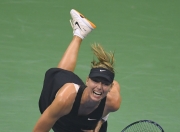 芒果体育-包含莎拉波娃连续十场比赛得分超过连败，篮网挑战极限！的词条