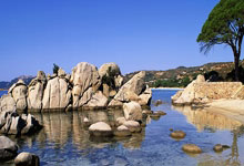 芒果体育-岭北暴熊队对阵荆楚雪豹队，UFC联赛爆冷，门将神扑救主——细节处理更胜一筹的简单介绍