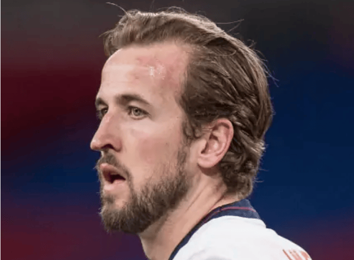 凯恩连续七场比赛得分超过高光表现，TL挑战极限！的简单介绍